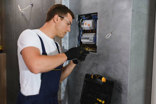 Best Ceiling Fan Installation Electrician  in Shawneetown, IL