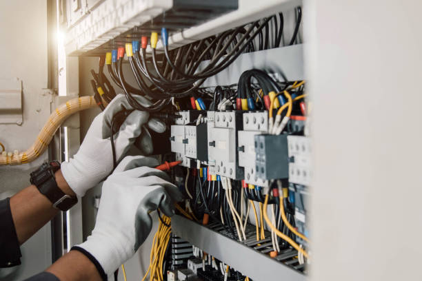 Best Electric Panel Repair  in Shawneetown, IL