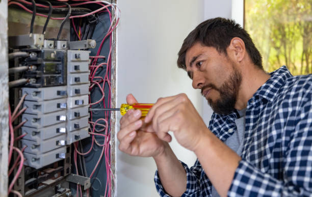 Best Electrical System Inspection  in Shawneetown, IL